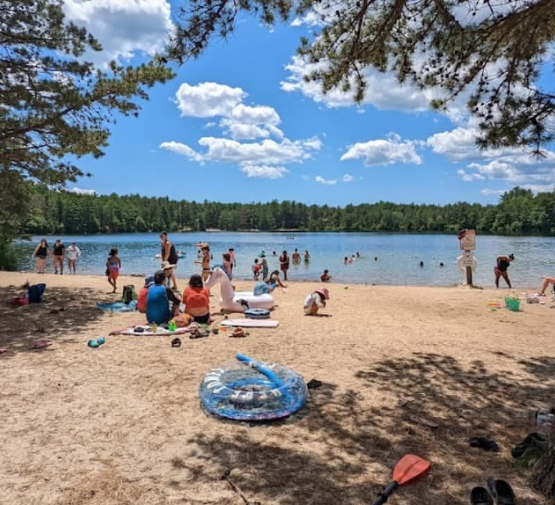 Myles Standish State Forest, Carver, MA