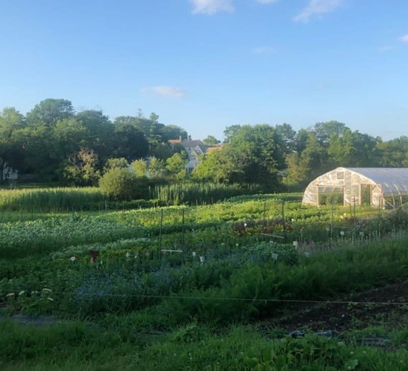 Holly Hill Farm, Cohasset, MA
