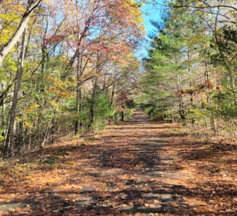 Wompatuck State Park, Hingham, MA