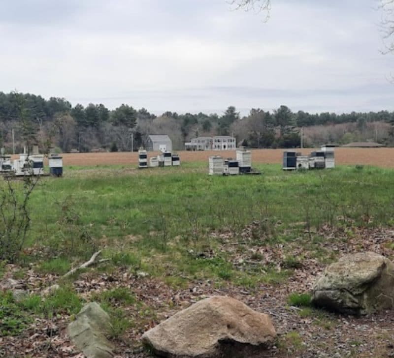 Donovan Wildcat Trails Parking, Norwell, MA