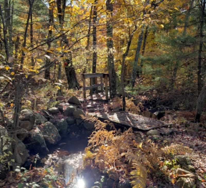 Rockland Town Forest and Conservation Land, Rockland, MA